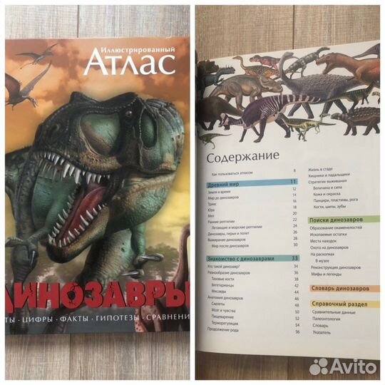 Детские атласы мира динозавры анатомия рыцари