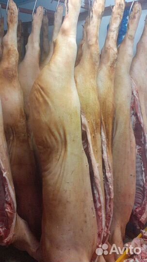 Мясо опт и розница