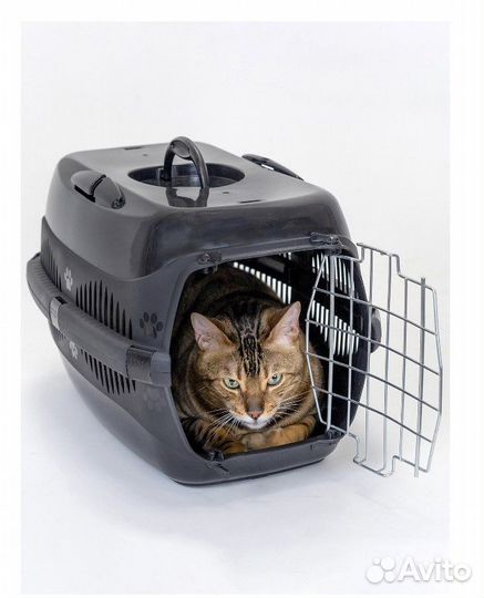 Переноска для кошек и собак