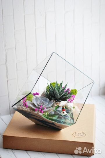 Флорариум с суккулентами в кубе