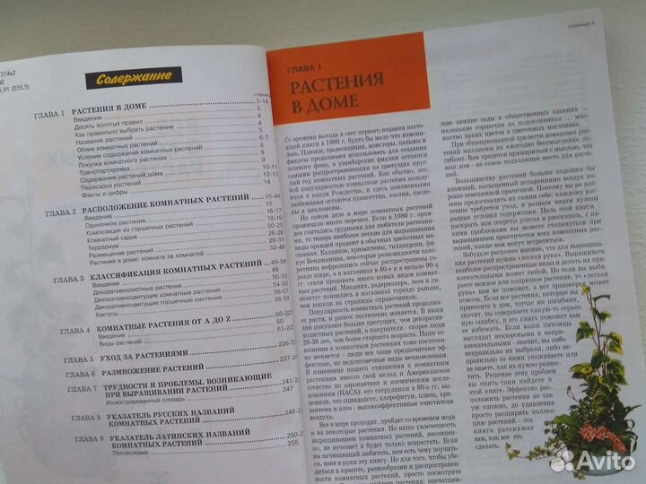 Всё о комнатных растениях