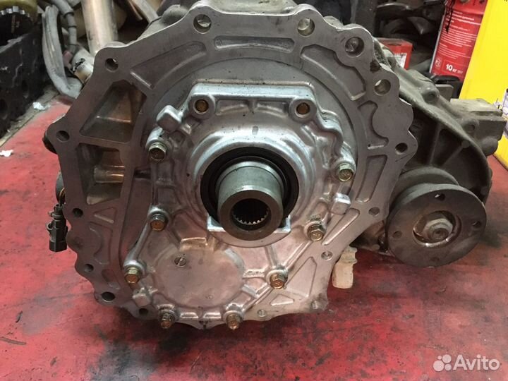 Раздатка Terrano