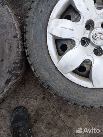 R15 Nordman WR 195/65, PCD 5x114.3 DIA 67