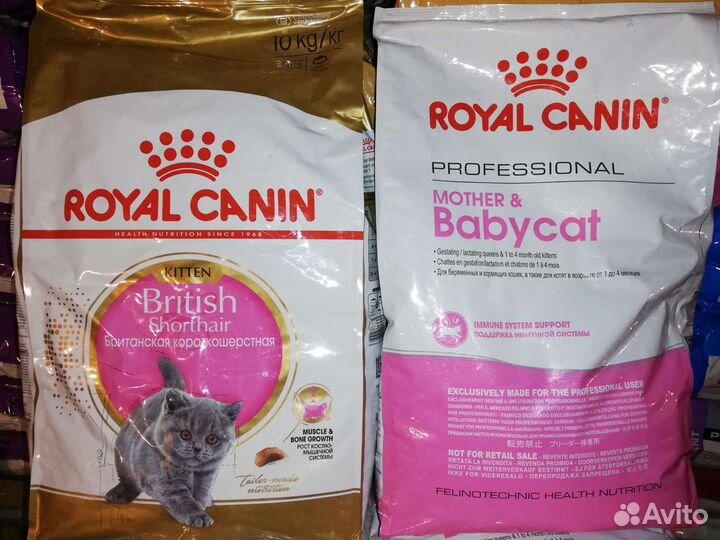 Ассортимен для кошек Royal Canin British,MaineCoon