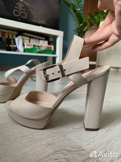 Туфли Carlo Pazolini