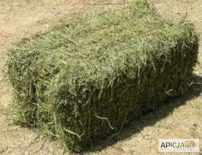 Солома- сено