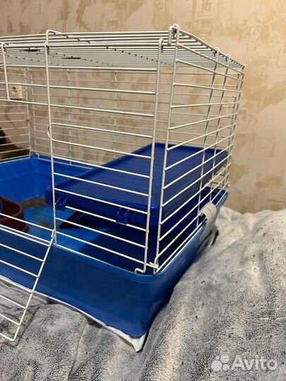 Клетка для грызунов очень большая