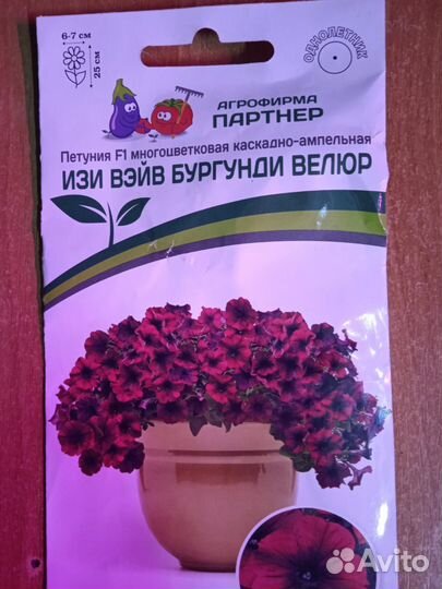 Черенки петуний