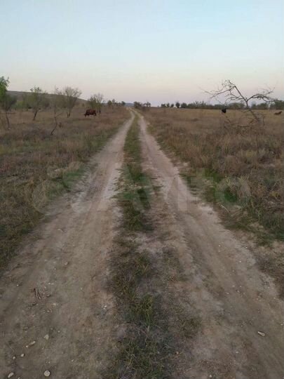 Участок 1,28 га (СНТ, ДНП)