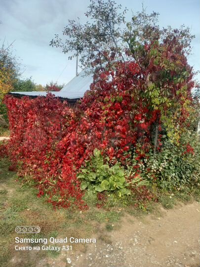 Дача 10 м² на участке 4 сот.