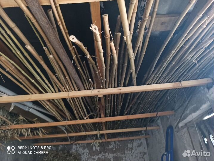 Бамбуковые палки