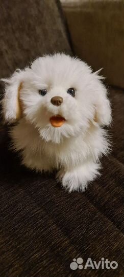Интерактивная игрушка Щенок (Furreal Friends)