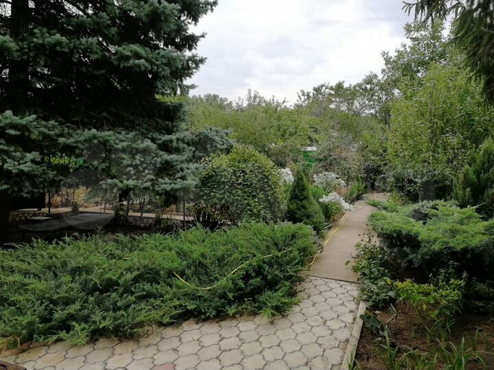 Дача 50 м² на участке 6 сот.