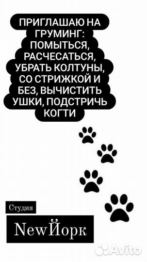 Груминг собак, кошек. Ультразвуковая чистка зубов