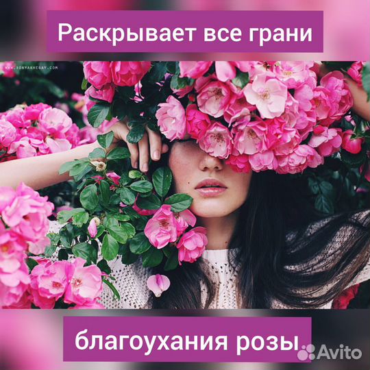 Deep Rose Montale 5 мл