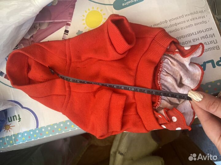 Одежда для собак и кошек