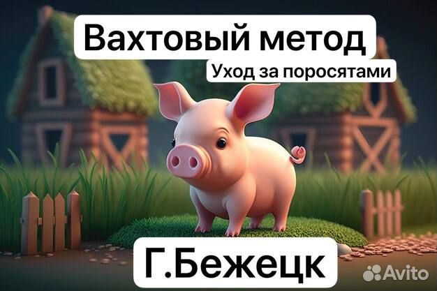 Уход за животными в Тверской обл. Вахта