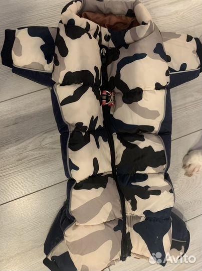 Комбинезон для кобеля