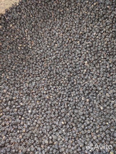 Ягода амурского бархата Оптом