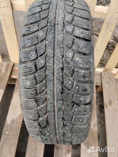 Gislaved Nord Frost V 205/55 R16
