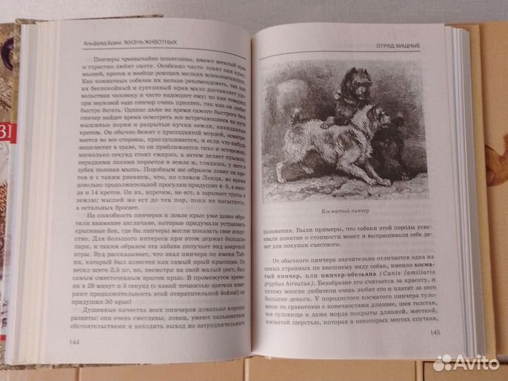 Альфред Брем Жизнь животных книги