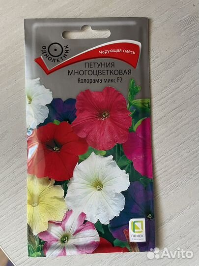 Петунии. Рассада