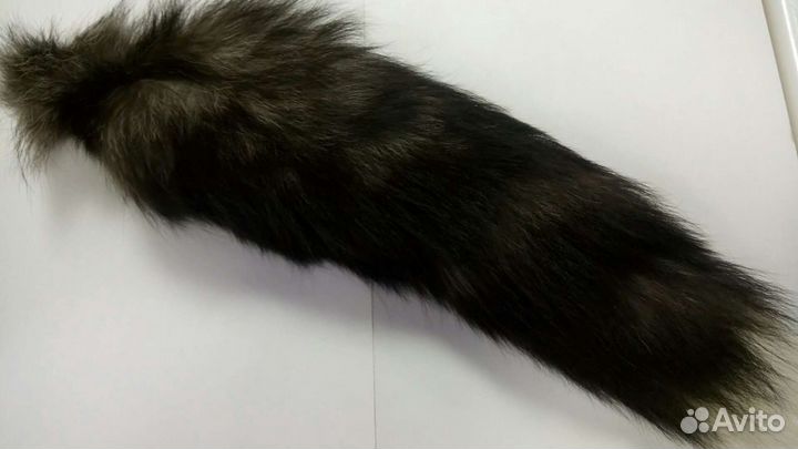 Хвост песцовый