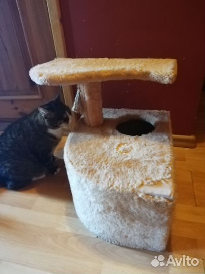 Домик для кошки