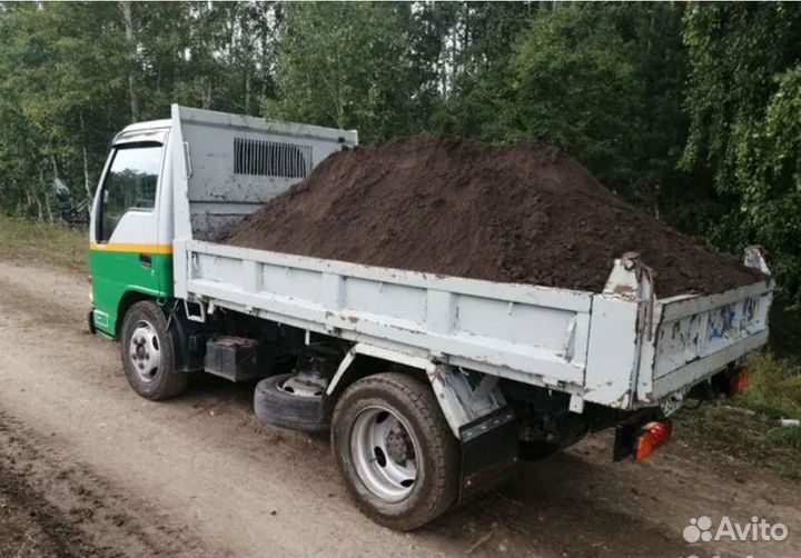 Земля Чёрная растительная