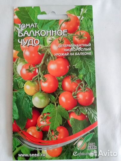 Рассада томата Балконное чудо