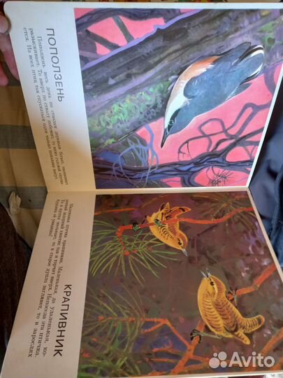 Книжки детские