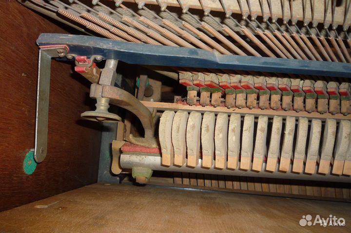 August forster, инструмент № 34965. выпуск 1913 г