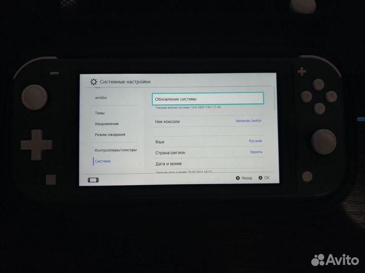 Nintendo switch lite прошитая