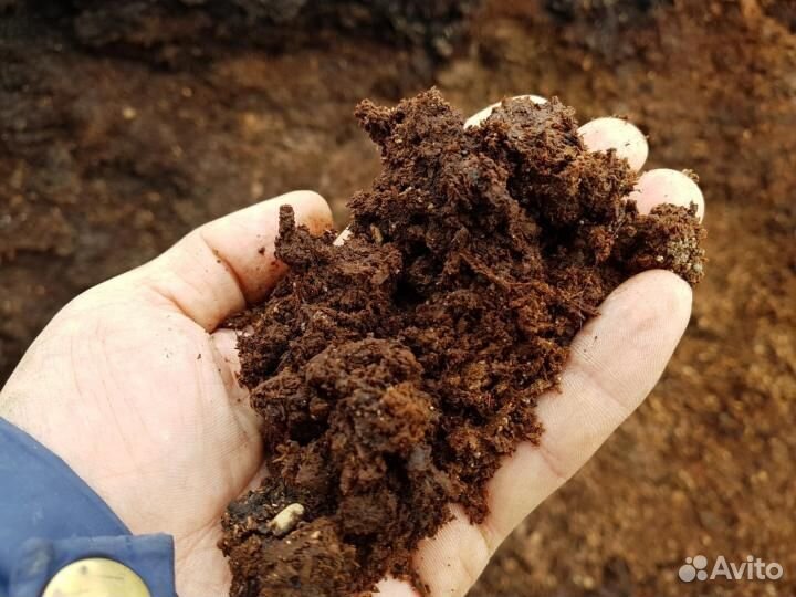 Перегной коровий