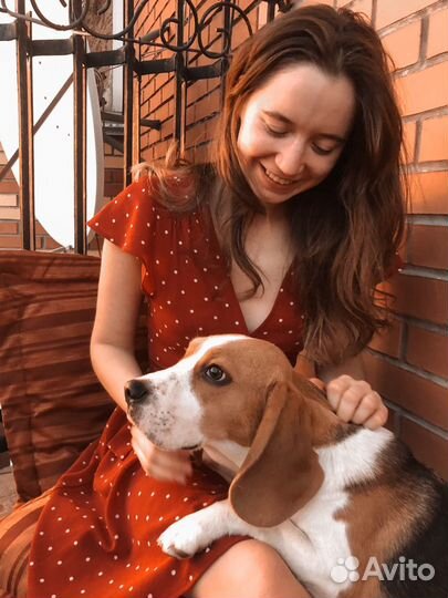 Зооняня. Выгул собак Адлер Пермь, передержка