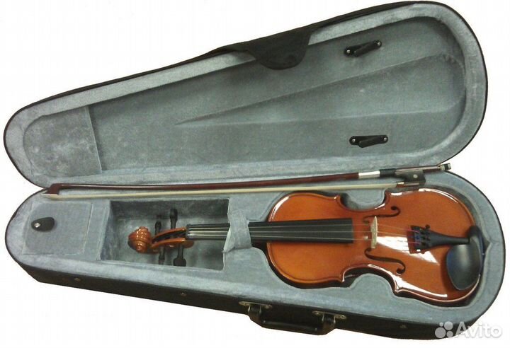 Скрипка студенческая