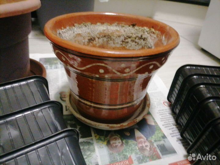 Горшки для цветов и под рассаду