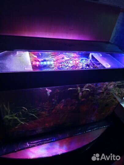 Аквариум 60л