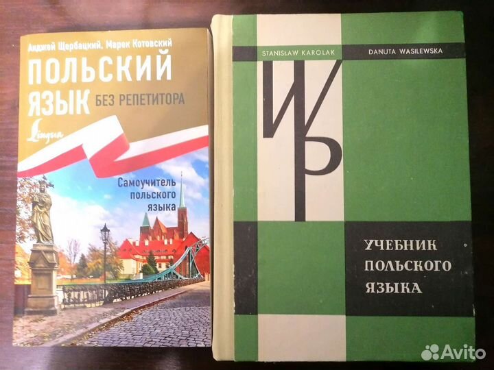 Польский язык