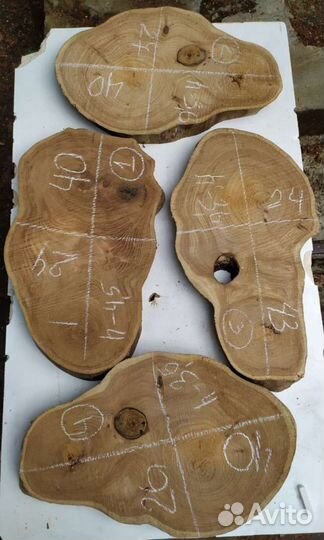 Спилы карагача сухие