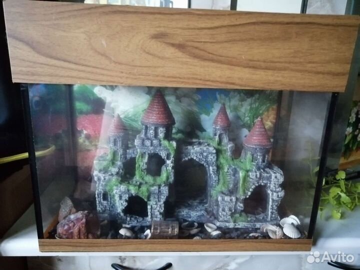 Аквариум