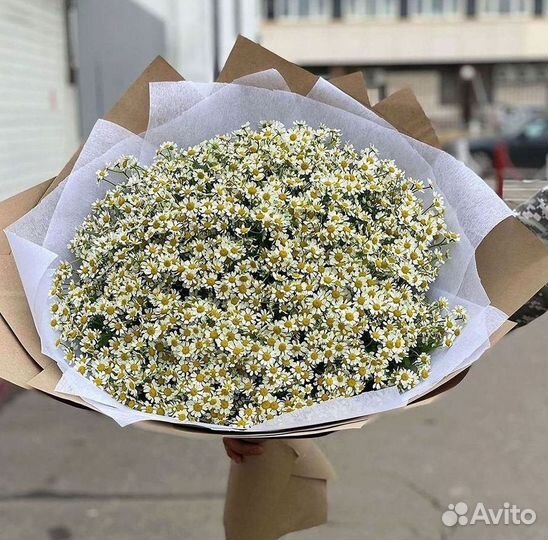 Букеты ромашек