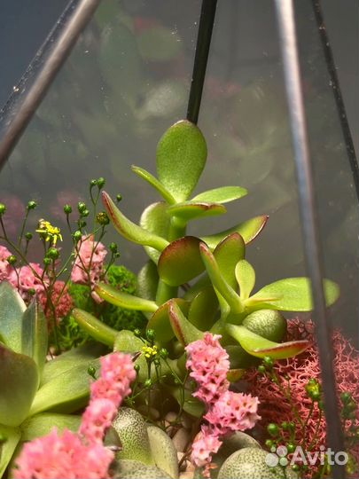 Флорариум Букет на 8 марта