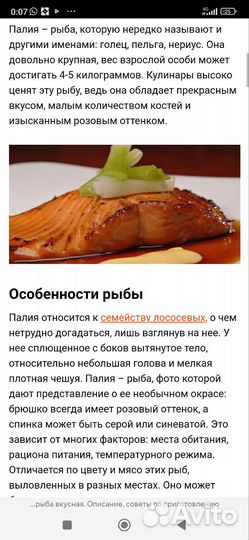 Лосось(Палия)