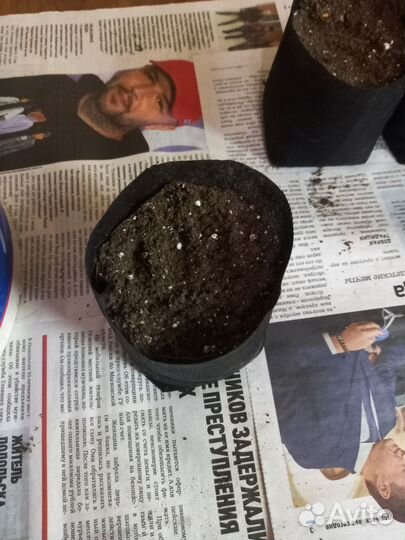 Стаканчики для рассады из спандбонда