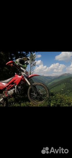 Продам питбайк