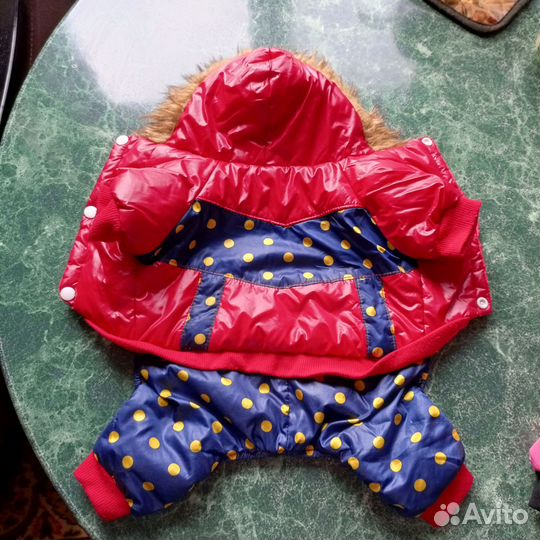 Зимняя одежда для собак мелких пород