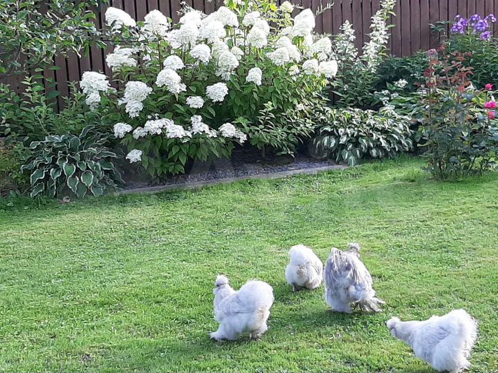 Дом 130 м² на участке 6 сот.