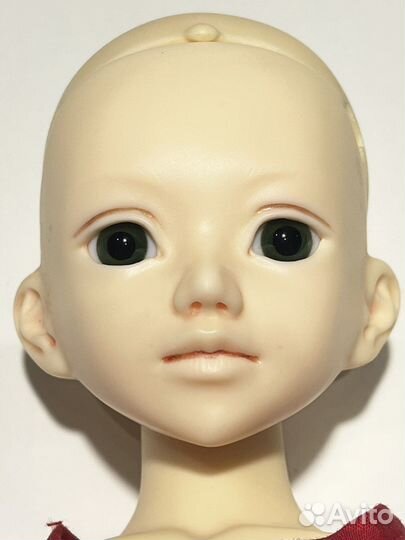 Куклы Монстер Хай Эвер Афтер Хай бжд