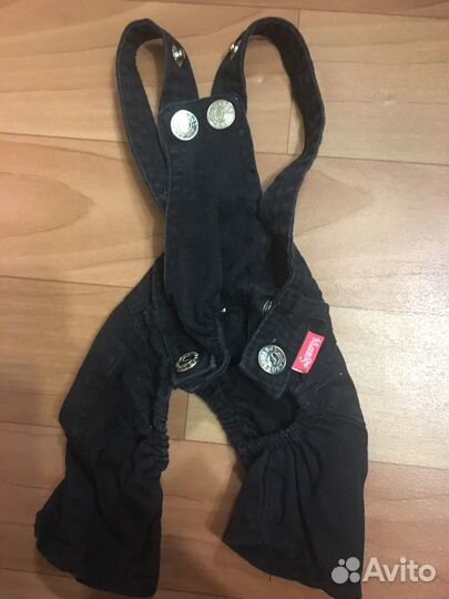 Одежда для маленьких собачек